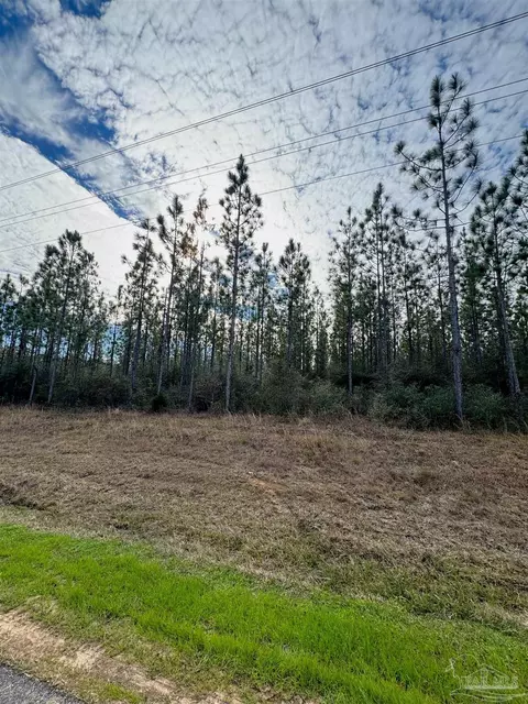 Parcel 2 W Tidwell Rd, Pace, FL 32571 photo 7