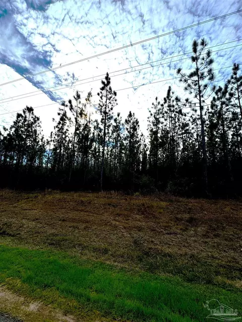 Parcel 2 W Tidwell Rd, Pace, FL 32571 photo 3