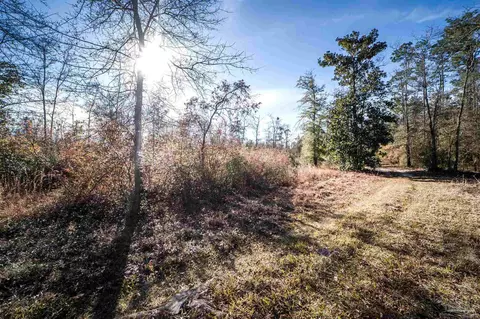 1593 Christmas Tree Rd, Milton, FL 32570 photo 62