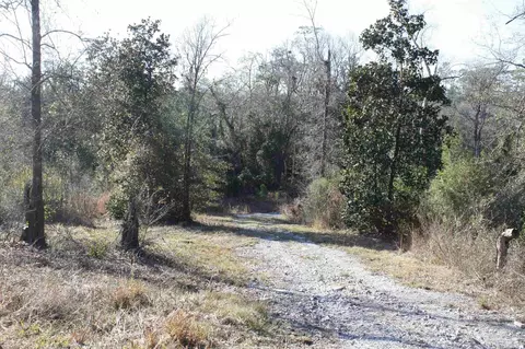 1593 Christmas Tree Rd, Milton, FL 32570 photo 50