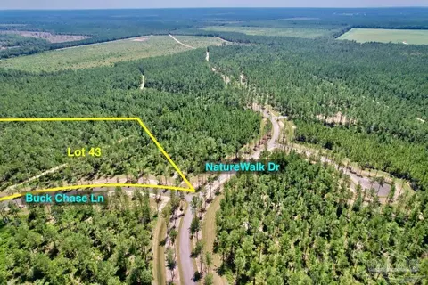 lot43 Buck Chase Ln, Pace, FL 32571 photo 8