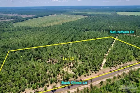lot43 Buck Chase Ln, Pace, FL 32571 photo 2