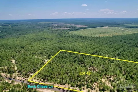 lot43 Buck Chase Ln, Pace, FL 32571 photo 5