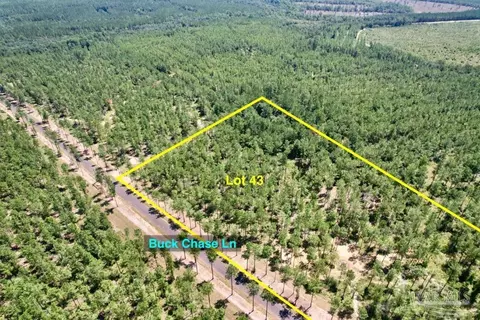 lot43 Buck Chase Ln, Pace, FL 32571 photo 9