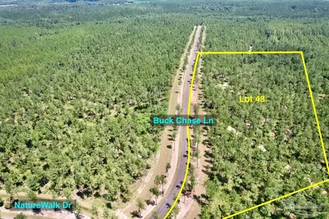 lot43 Buck Chase Ln, Pace, FL 32571 photo 10