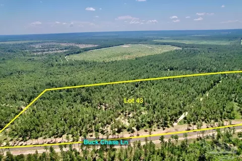 lot43 Buck Chase Ln, Pace, FL 32571 photo 6