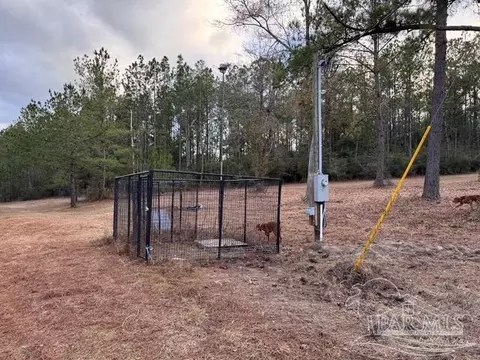 5580 John Lowery Rd, Jay, FL 32565 photo 21
