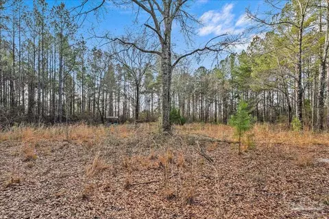 7901 Short Creek Rd, Jay, FL 32565 photo 8