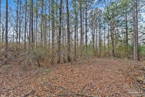 7901 Short Creek Rd, Jay, FL 32565 photo 10