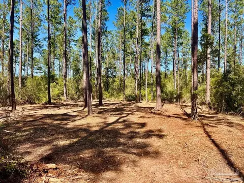 lot47 Naturewalk Dr, Pace, FL 32571 photo 5