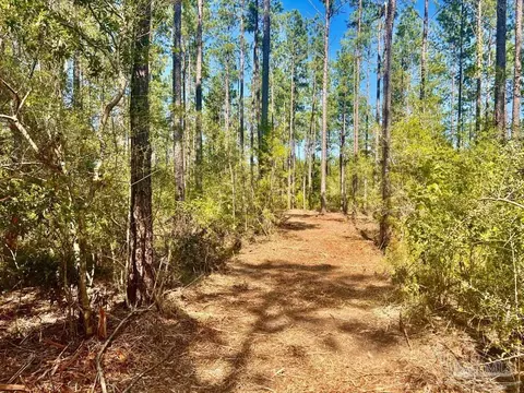lot47 Naturewalk Dr, Pace, FL 32571 photo 7