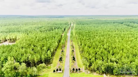 lot47 Naturewalk Dr, Pace, FL 32571 photo 26