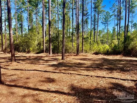 lot47 Naturewalk Dr, Pace, FL 32571 photo 6