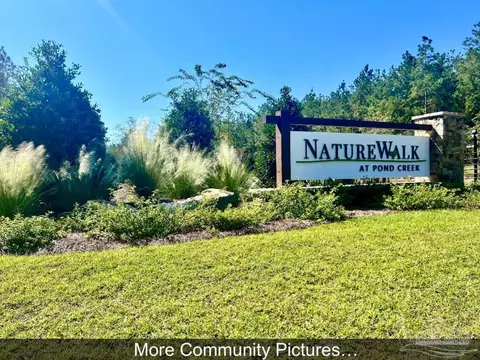 lot47 Naturewalk Dr, Pace, FL 32571 photo 10
