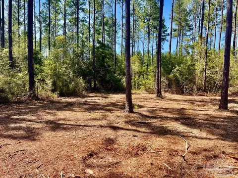 lot47 Naturewalk Dr, Pace, FL 32571 photo 9