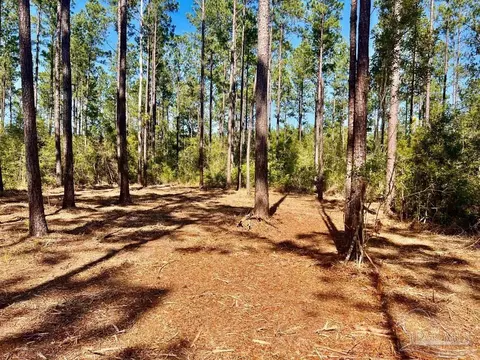 lot47 Naturewalk Dr, Pace, FL 32571 photo 8