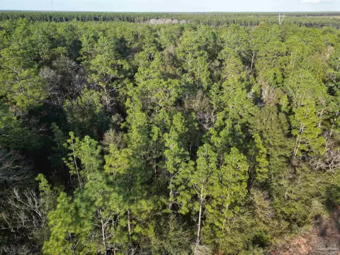 Big Buck Rd, Milton, FL 32583 photo 6