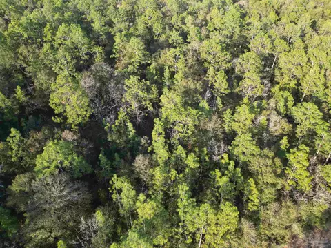 Big Buck Rd, Milton, FL 32583 photo 7