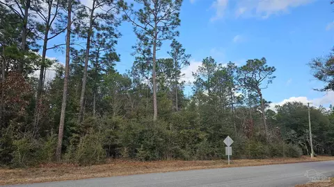 Big Buck Rd, Milton, FL 32583 photo 10