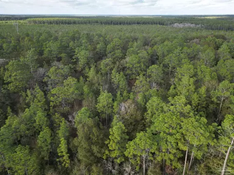 Big Buck Rd, Milton, FL 32583 photo 5