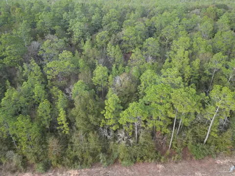 Big Buck Rd, Milton, FL 32583 photo 4