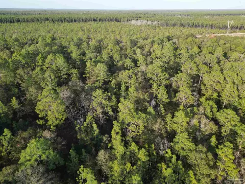 Big Buck Rd, Milton, FL 32583