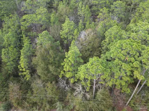 Big Buck Rd, Milton, FL 32583 photo 2