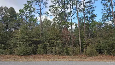 Big Buck Rd, Milton, FL 32583 photo 9