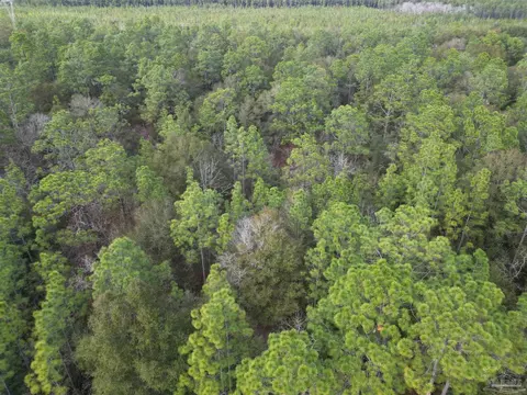 Big Buck Rd, Milton, FL 32583 photo 3