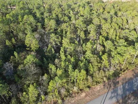 Big Buck Rd, Milton, FL 32583 photo 8