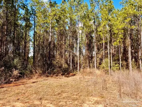 lot16 SW Bashi Rd, Pace, FL 32571 photo 19