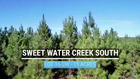 lot16 SW Bashi Rd, Pace, FL 32571 photo 5