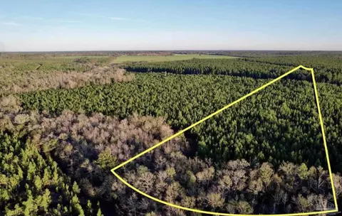 lot16 SW Bashi Rd, Pace, FL 32571 photo 22