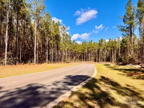 lot16 SW Bashi Rd, Pace, FL 32571 photo 14