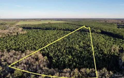 lot16 SW Bashi Rd, Pace, FL 32571 photo 23