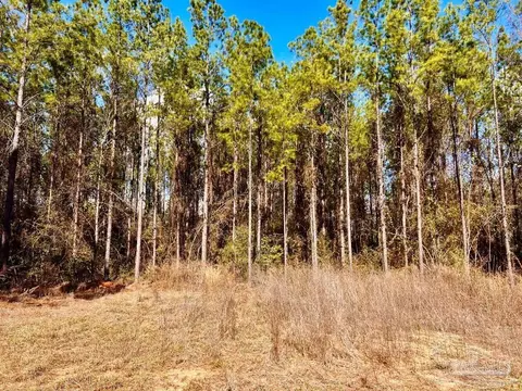 lot16 SW Bashi Rd, Pace, FL 32571 photo 20