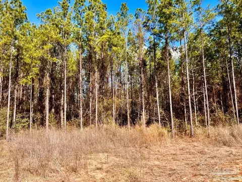 lot16 SW Bashi Rd, Pace, FL 32571 photo 21
