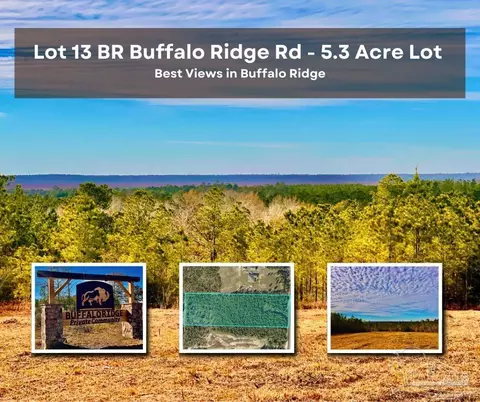 lot13 Br Buffalo Ridge Rd, Pace, FL 32571