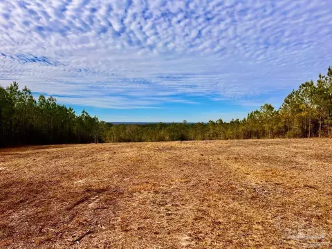 lot13 Br Buffalo Ridge Rd, Pace, FL 32571 photo 13