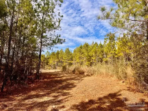 lot13 Br Buffalo Ridge Rd, Pace, FL 32571 photo 9