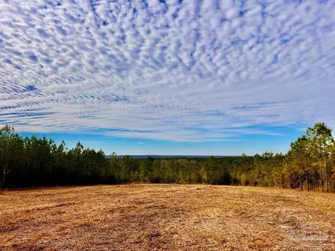 lot13 Br Buffalo Ridge Rd, Pace, FL 32571 photo 17