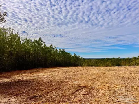 lot13 Br Buffalo Ridge Rd, Pace, FL 32571 photo 15