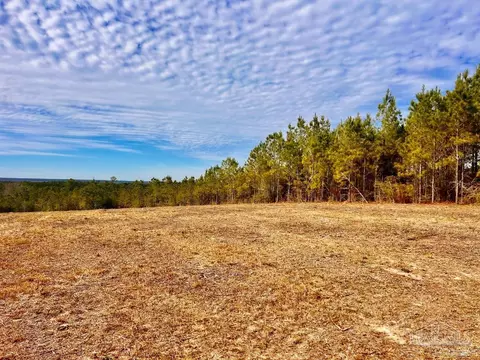 lot13 Br Buffalo Ridge Rd, Pace, FL 32571 photo 14