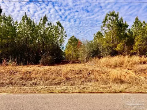 lot13 Br Buffalo Ridge Rd, Pace, FL 32571 photo 5