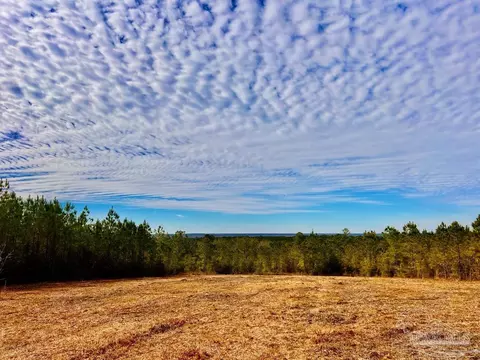 lot13 Br Buffalo Ridge Rd, Pace, FL 32571 photo 18