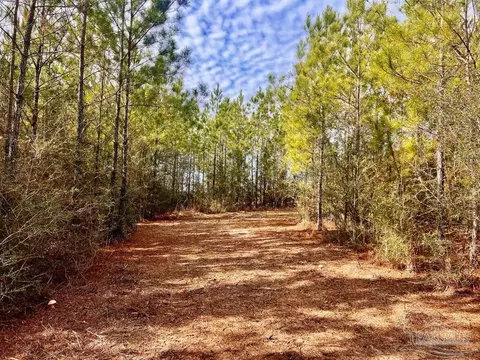 lot13 Br Buffalo Ridge Rd, Pace, FL 32571 photo 8