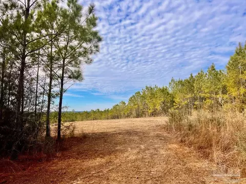 lot13 Br Buffalo Ridge Rd, Pace, FL 32571 photo 10