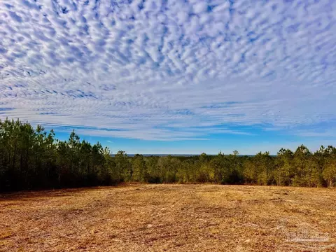 lot13 Br Buffalo Ridge Rd, Pace, FL 32571 photo 19