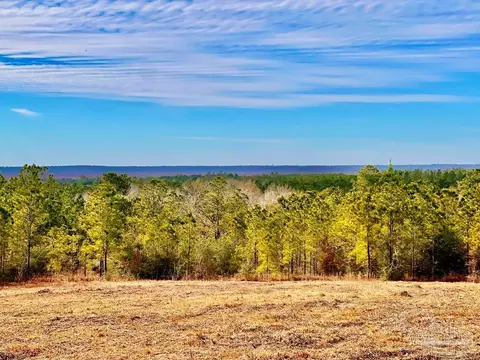 lot13 Br Buffalo Ridge Rd, Pace, FL 32571 photo 11