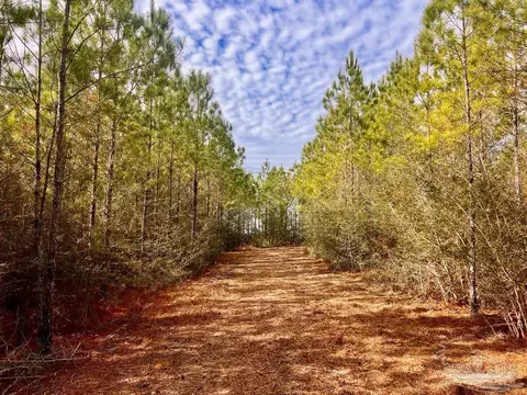 lot13 Br Buffalo Ridge Rd, Pace, FL 32571 photo 7